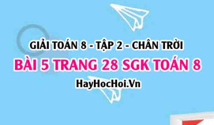 Bài 5 trang 28 Toán 8 Tập 2 Chân trời sáng tạo